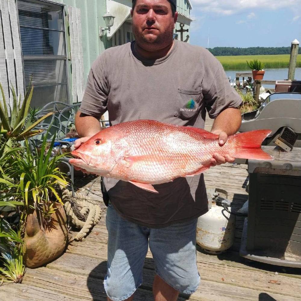 Meet your Posher, William